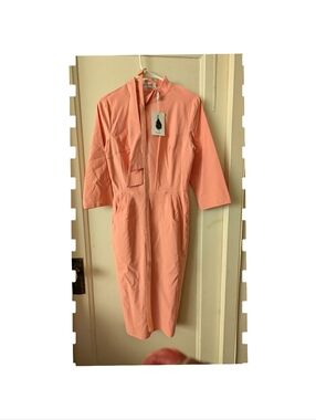 Gorgeous Muwn Peach Sheath Dress with Tie Neck